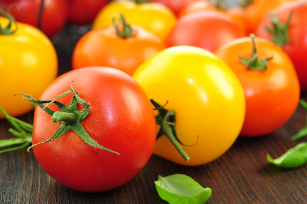 Tomaten in verschiedenen Farben