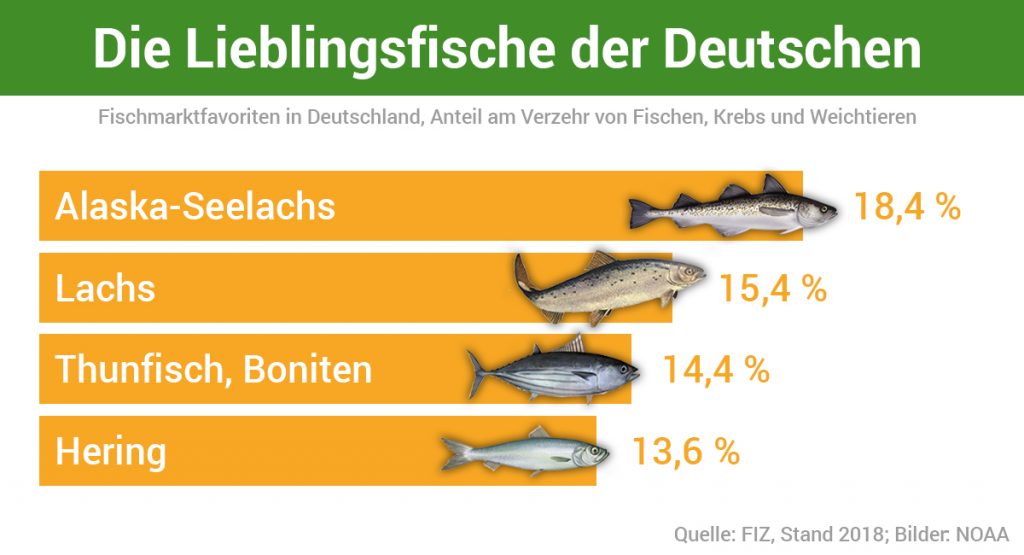 Lieblingsfische der Deutschen