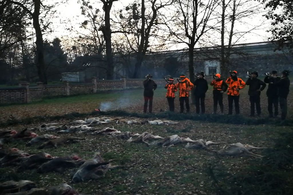 Am Ende der Jagd ertönt das Halali.