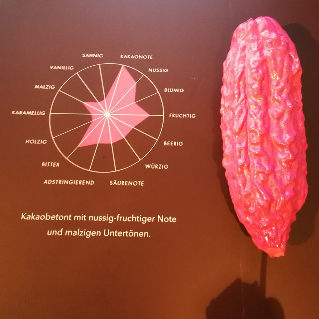 Geschmacksnuancen der Kakakobohne