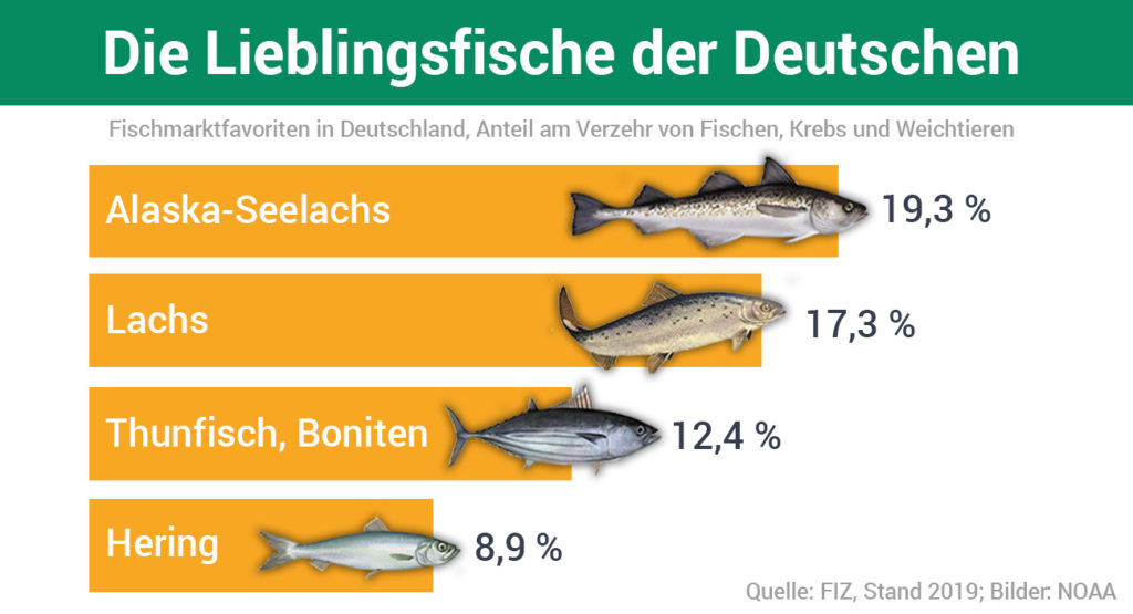 Top-4 der meistkonsumierten Speisefische