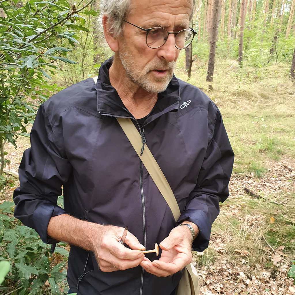 Pilzberater Wolfgang Bivour mit einem ockergelben Trichterling