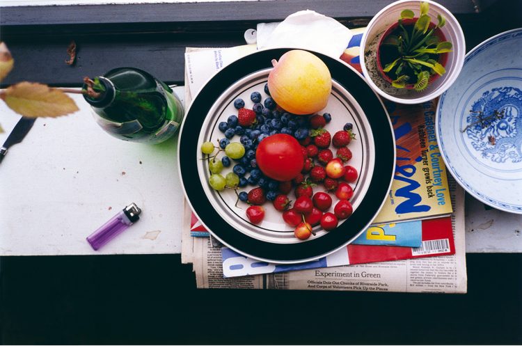 Wolfgang Tillmans, summer still-life, 1995