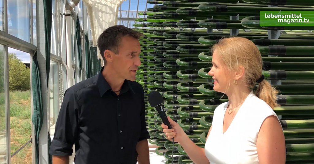 Interview auf der Algenfarm