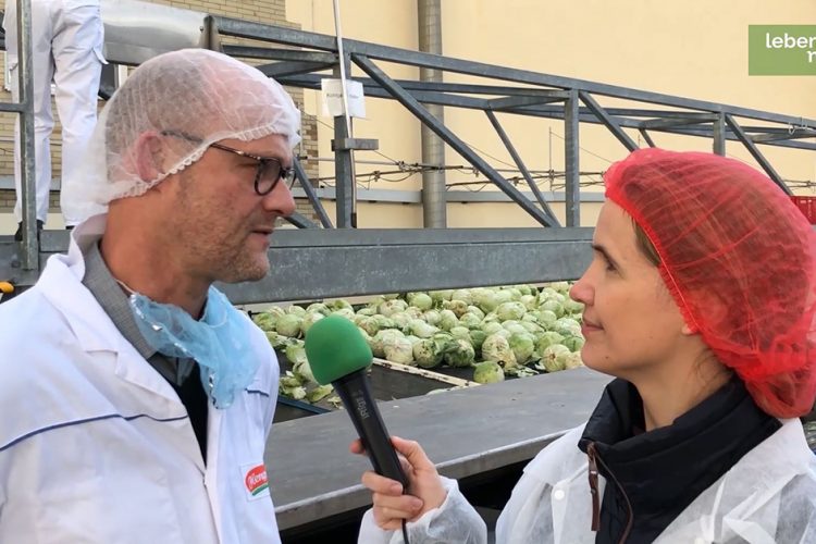 Wie wird Sauerkraut hergestellt? Ein Besuch bei der Firma Hengstenberg (Video)