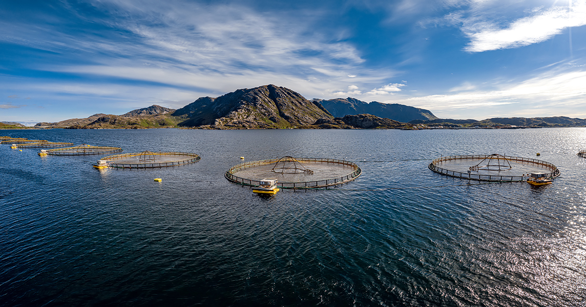 Lachsfarm in Norwegen