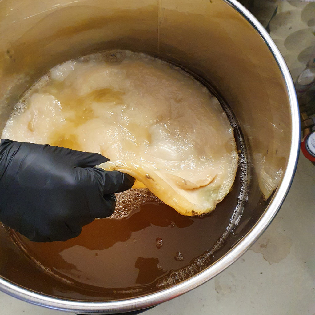 Scoby