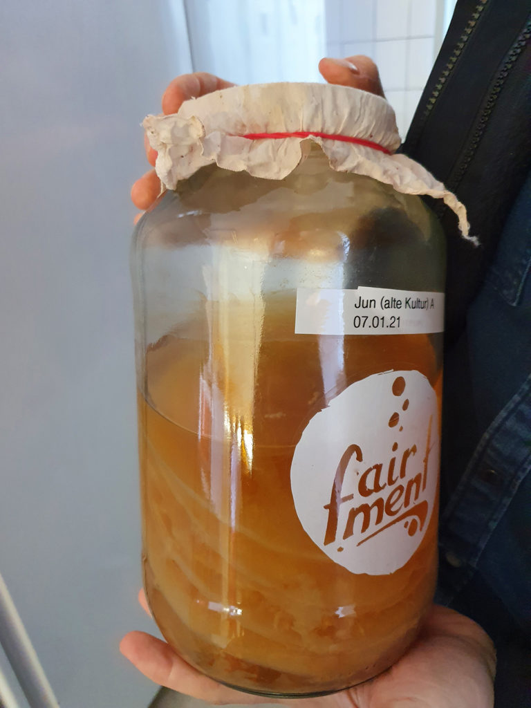 Jun-Kombucha von Fairment