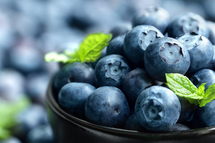 Das blaue Wunder erleben: Blaubeeren