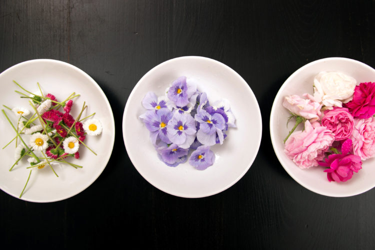 Kulinarische Blütenträume: Lass Blumen essen!