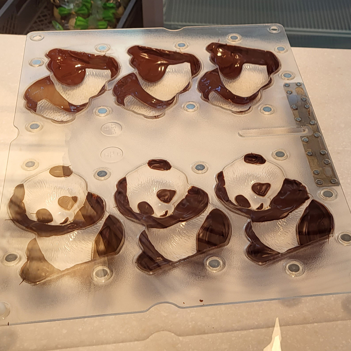 Gussformen für Pandas aus Schokolade