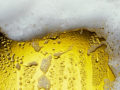 Pils mit Schaumkrone