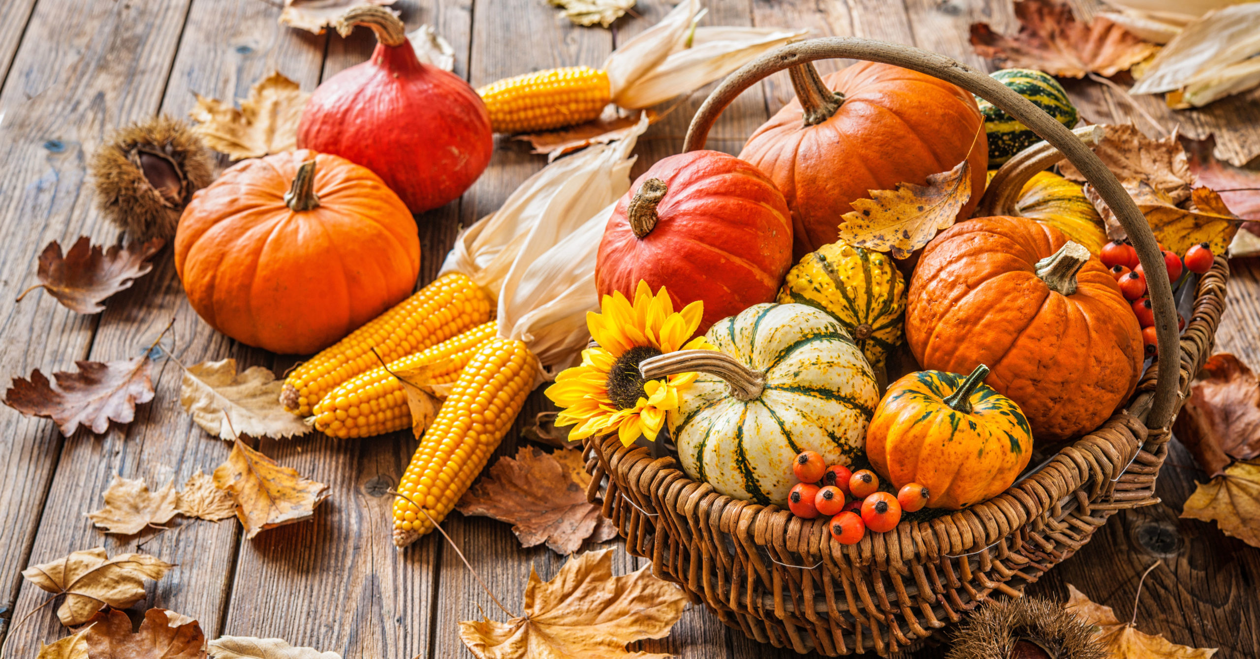 Herbstliches Stillleben mit verschiedenen Kürbissen