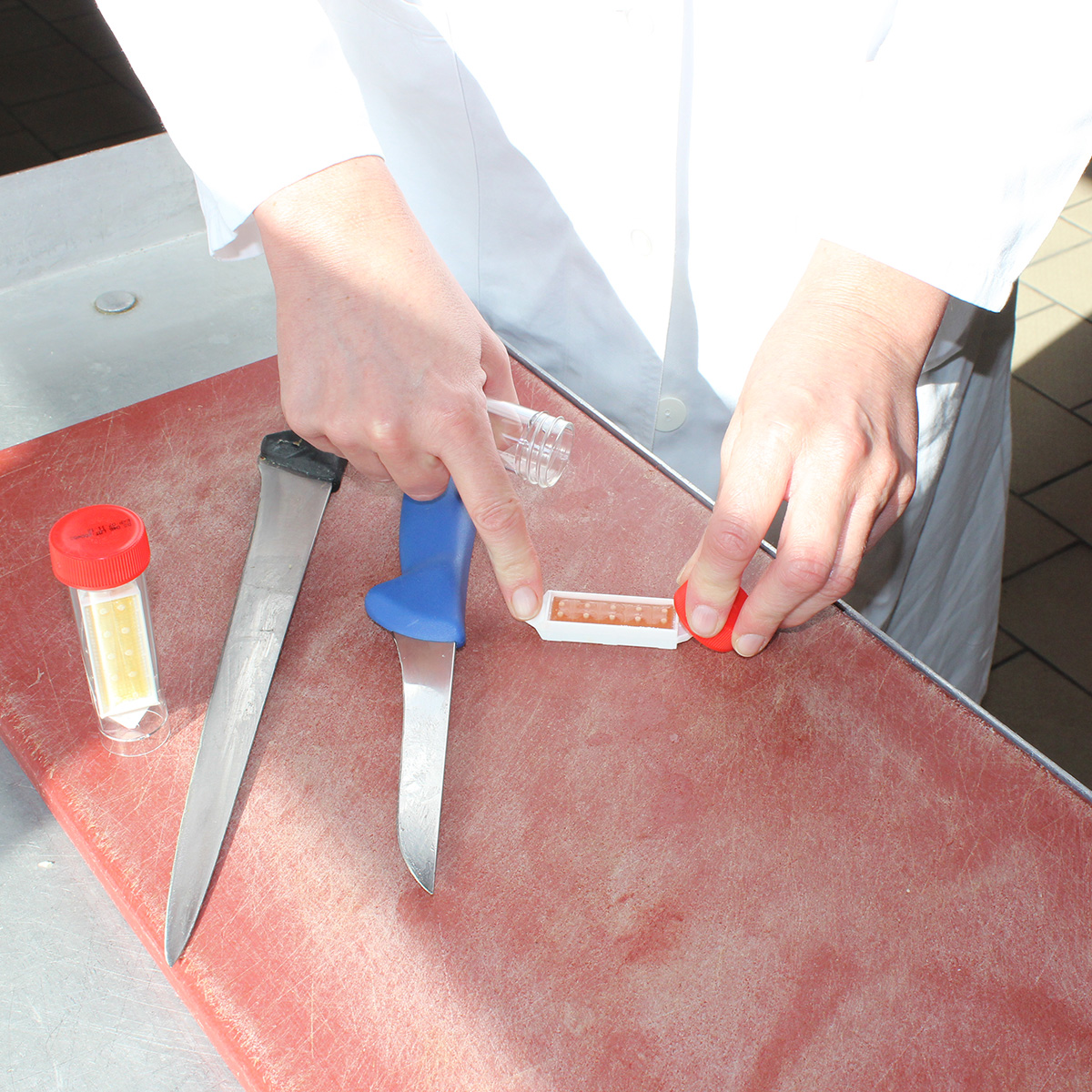 Kontrolle der Lebensmittelsicherheit in einer Fleischerei durch einen mikrobiologischen Test.