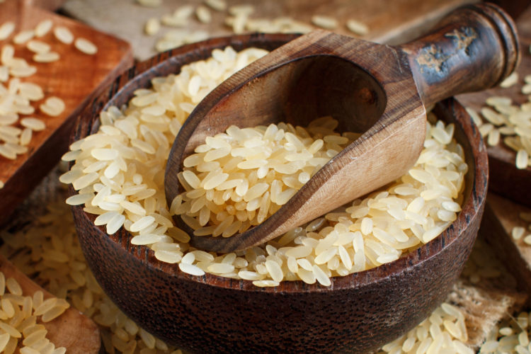 Risotto in Brandenburg – erster deutscher Reisanbau