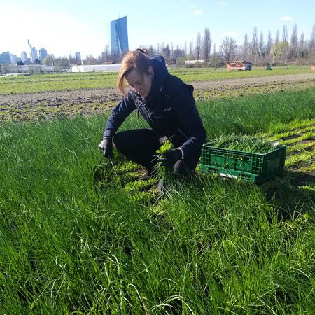 Angela Jung auf einem Feld ihrer Gemüsegärtnerei