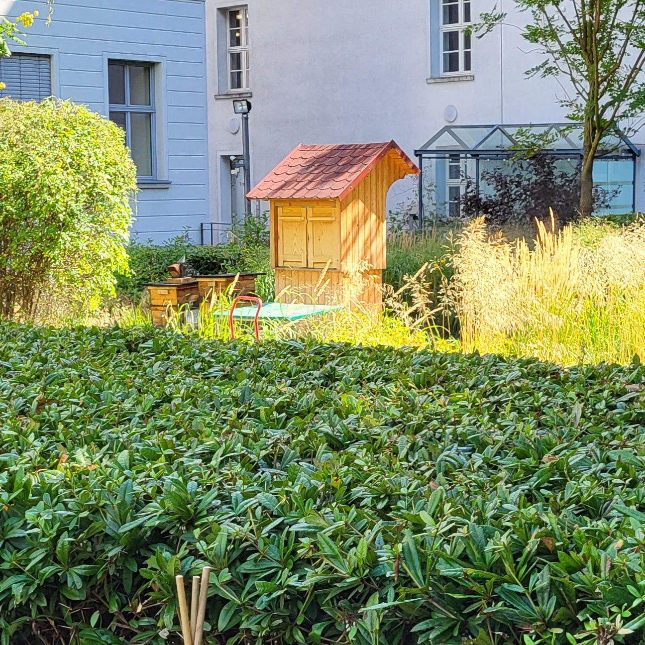 Die Bienenkörbe des BMEL