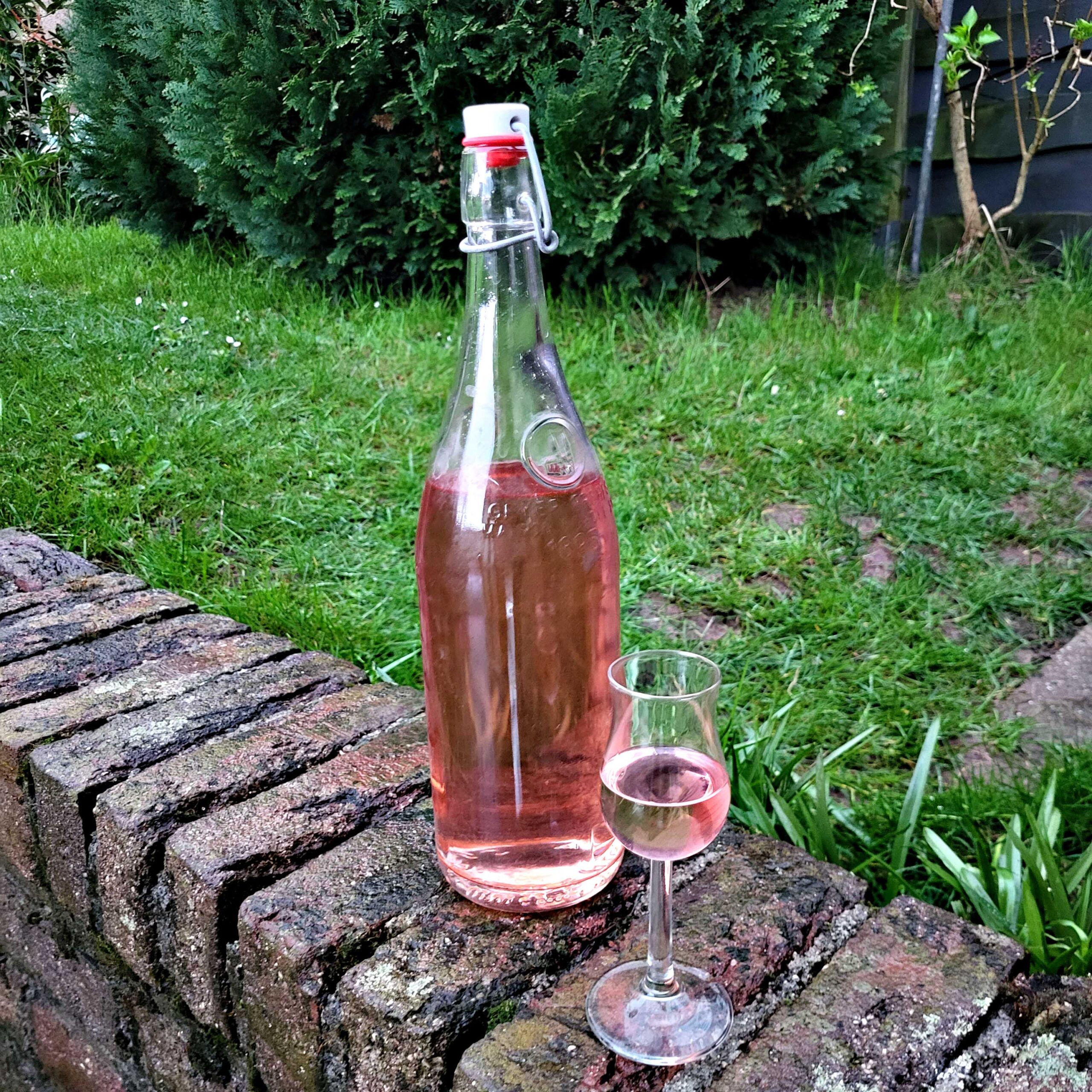 Eine Flasche selbstgemachter Likör aus Kirschblüten mit einem halbgefüllten Portweinglas davor.