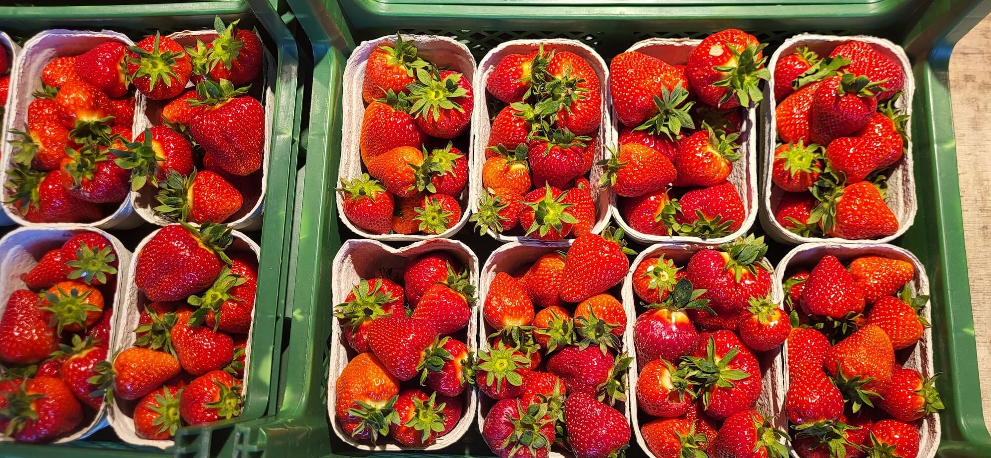 Erdbeeren in Pappschälchen