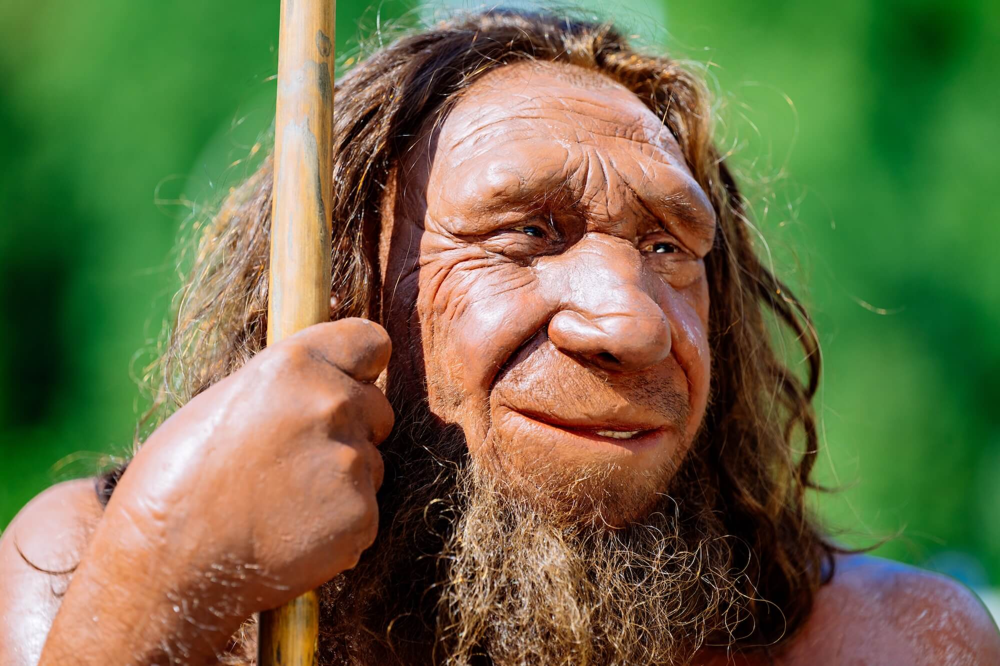 Rekonstruktion eines Neanderthalers, Nahaufnahme