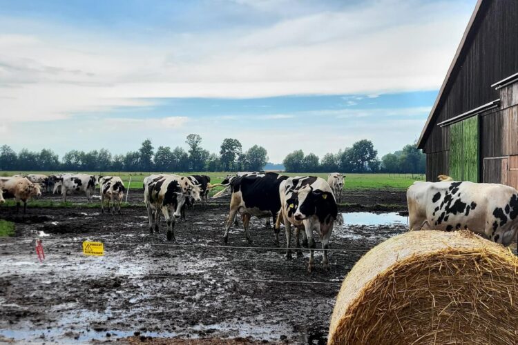 Mit Kantine Zukunft auf Landpartie 