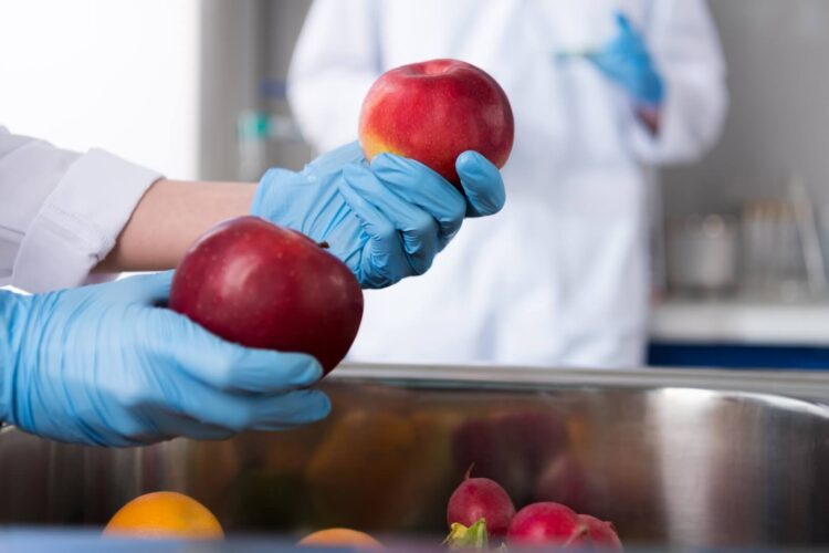 Unsichtbare Gefahr: Mikrobiologisches Risiko in Lebensmitteln 