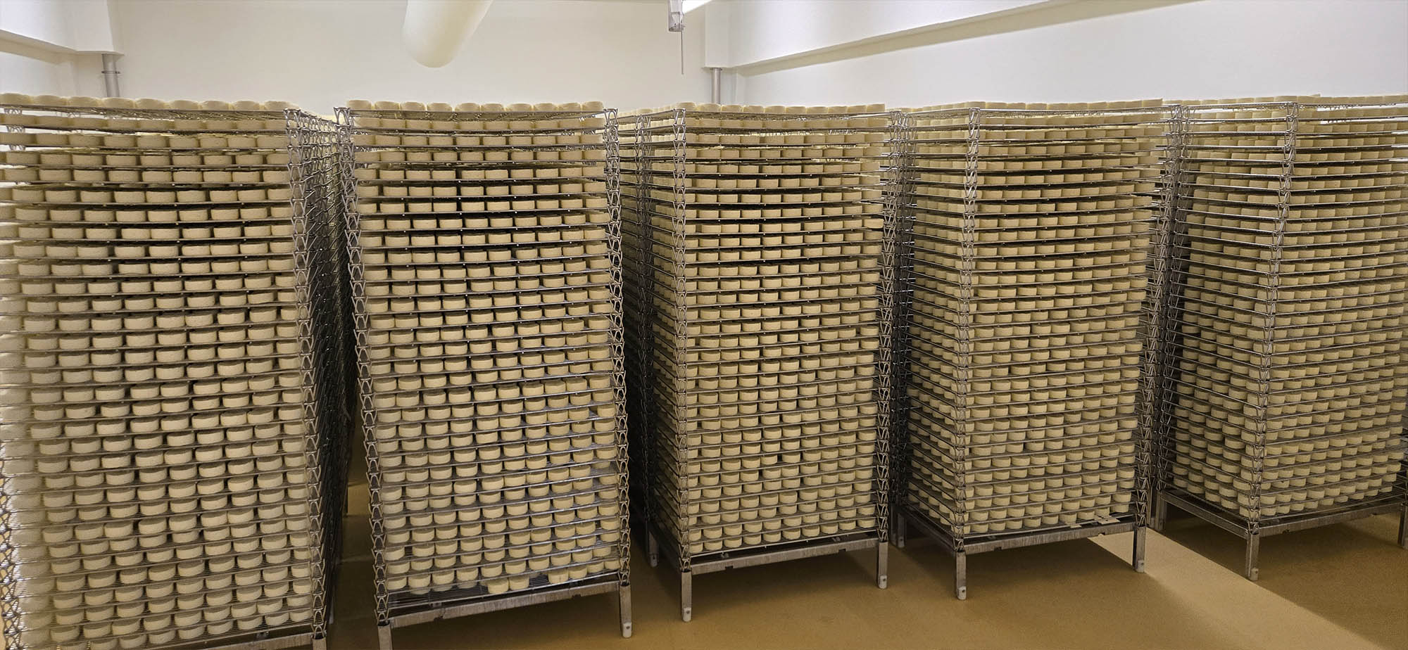 Camembert wird in sogenannten Klimabahnen gelagert um die restliche Molke abzutropfen.