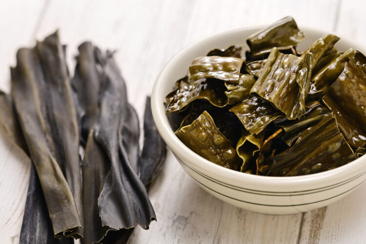 Zuckertang: Ernte auf der Meeresfarm