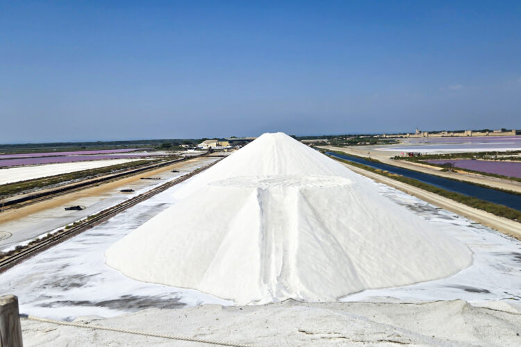 La vie en rose: Fleur de sel